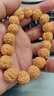 树王爆肉小金刚菩提手串单圈文玩饰品男女款手链核桃原籽文玩佛珠 【树王小金刚14*15mm】单圈款 实拍图