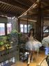 唐努乌现货【天鹅绒】lolita套装春款小清新礼服哥特风公主裙洛丽塔 【天鹅绒】单裙子+飞机盒 S 【65-89斤】 实拍图