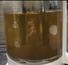 米家小米养生壶S2烧水壶恒温电热水壶煮茶壶泡茶调奶器恒温壶家用办公室 带炖盅+316L滤网 1.5L养生壶 实拍图