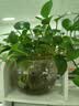 ABC瞬吸云棉极薄无感日夜卫生巾套装京东自营姨妈巾6包48片 实拍图
