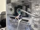 七彩虹【24期免息】酷睿15代U7-270K RTX5060TI/5070TI/5080显卡“林树推荐”台式主机电竞游戏组装电脑 配七：U7-270K丨16G丨1TB丨5070TI 显卡全新原盒发 实拍图