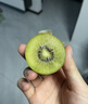 佳沛（zespri）绿奇异果 优选大果12粒单果约115-135g  水果 猕猴桃 实拍图