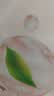 世喜洗奶瓶清洗剂婴儿宝宝奶瓶果蔬清洗剂泡沫450ml+替换装*2 实拍图