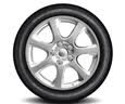固铂（Cooper）汽车轮胎 235/55R18 100V EVOLUTION CTT 原配瑞虎8适配探岳/H2 实拍图