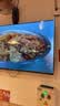 乐视TV50英寸 F50C 全高清画质 HDR 智能网络投屏 游戏液晶平板电视机 家用客厅酒店监控商用显示屏 50英寸 F50C 超高质价比 裸机版本 实拍图