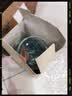 小土豆（potato）萌熊玻璃奶瓶新生婴儿防胀气宝宝吸管奶瓶宽口径防摔0-9个月奶瓶 浅黛蓝 240mL 实拍图