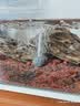 森森鱼缸增氧泵水族箱氧气泵LQE-100家用小型充氧泵4W单孔+全套配件 实拍图