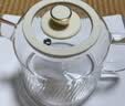 养生壶适用康宁花茶壶配件茶漏炖盅炖锅壶身HCH1201专用高硼硅玻璃 康宁二代玻璃壶 实拍图