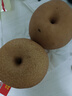 京鲜生【绿色认证】长城羊脂秋月梨 4.5斤装 大果5-7粒 单果300g+ 水果 实拍图