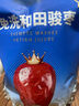 楼兰蜜语黑金枣250g特级去皮去核枣九蒸九制新疆红枣灰枣零食即食易消化 实拍图