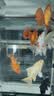 马印天王电解生物酶鱼缸净水剂活菌一号活性水族用品除藻剂水质净化剂 电解生物酶【高效净水】2300ml 实拍图