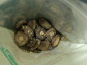 十月稻田 香菇 200g 干香菇 厚蘑菇冬菇 山珍菌菇干货 煲汤火锅炒菜食材 实拍图