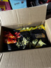 金锣酱卤猪蹄500g/袋休闲零食猪手肘子熟食下酒菜卤味方便面 实拍图