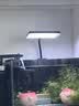 尼奥光（NEO-HELIOS）鱼缸灯水草灯LED灯S3pro+RGB植物光谱 【二代】13W新款尼奥S3pro+【高亮自然】 实拍图