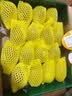 佳沛（zespri）新西兰金奇异果16粒经典果88-103g猕猴桃中秋节礼品送水果礼盒 实拍图