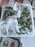 HELLOJOY猫零食薄荷猫草饼干1000g猫咪磨牙棒增肥洁齿小猫营养化毛 实拍图