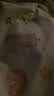 爱贝迪拉（AIBEDILA）婴儿隔尿垫可水洗防水透气宝宝幼儿园儿童a类尿布垫经期姨妈垫2条 实拍图