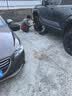 固铂（Cooper）越野轮胎 265/65R18 114T AT3 4S 适配BJ80/坦克400/方程豹5 实拍图