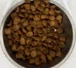 皇家猫粮 美短成猫粮 ASA31 通用粮 12月以上 4.5KG 实拍图