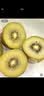 佳沛（zespri）新西兰 阳光金奇异果12粒特大果单果124-146g 猕猴桃水果礼盒 实拍图