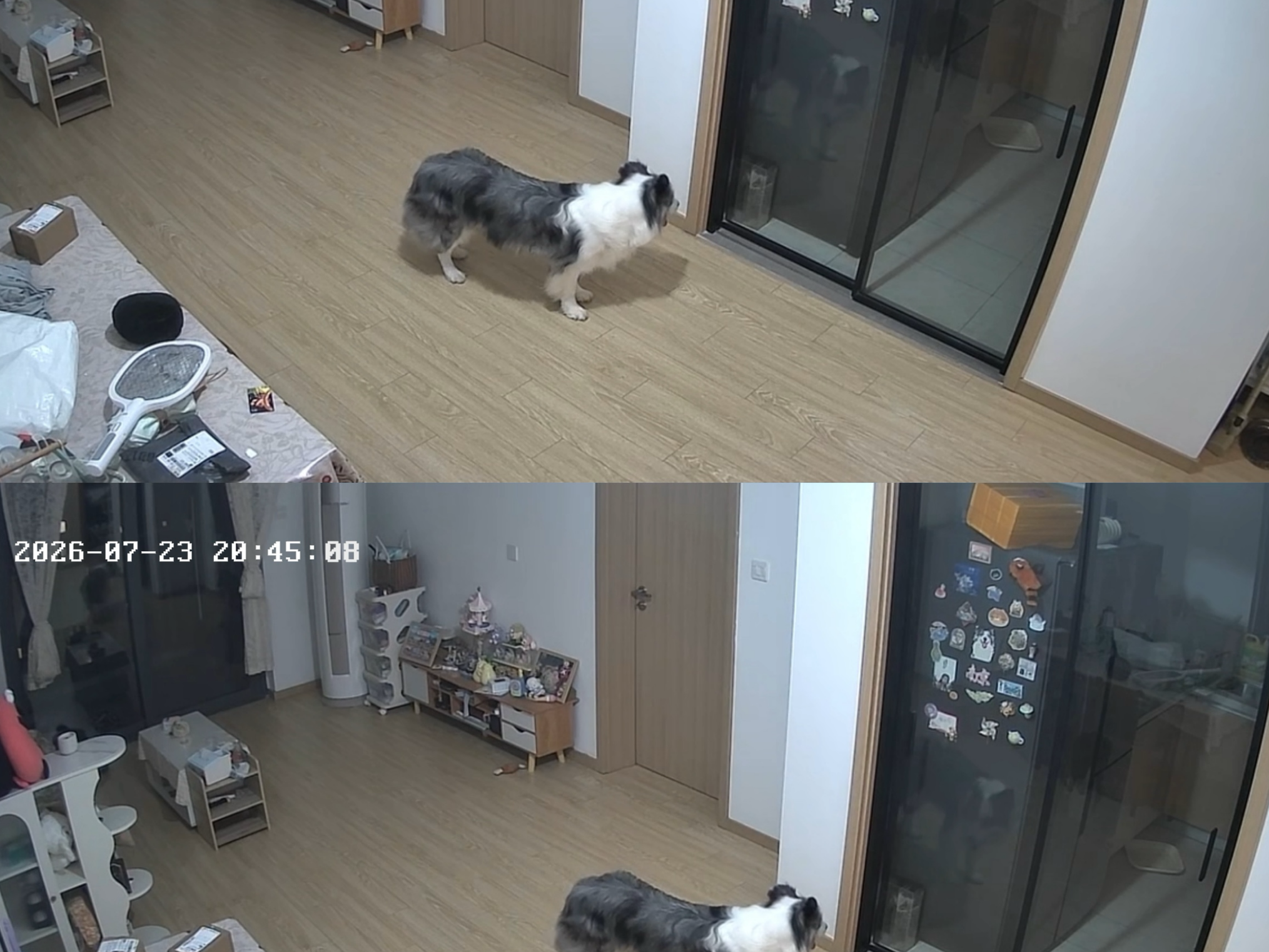 奥克斯1600万像素摄像头监控无线wifi网络高清夜视监控器360度无死角带夜视全景云台家用AI监控手机远程 实拍图
