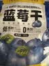 三只松鼠每日蓝莓干500g 蜜饯果干酸甜休闲零食下午茶孕妇儿童健康零食 实拍图