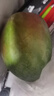 京鲜生 攀枝花【即食大果】凯特芒果 净重10斤 单果700g 5-7颗 生鲜礼盒 实拍图