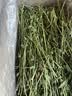 25年兔草苜蓿草干草兔子粮食龙猫荷兰猪豚鼠饲料高纤维兔粮 紫花苜蓿草1KG箱装(毛重) 实拍图
