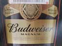 百威黑金啤酒600ml*12瓶整箱装拉格焦香醇厚京东自营中秋送礼 实拍图