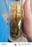 一杯香茶叶绿茶 明前碧螺春1钻250g 2026新茶礼盒装送礼自己喝散装茗茶 实拍图
