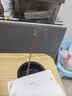 浙江省中医院【缓释凝神】中药线香薰熏香家用助眠安神纯天然沉香安息香 25g 实拍图