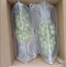 京鲜生 阳光玫瑰青提净重4.5-5斤装 单果10g+ 葡萄/提子生鲜水果源头直 实拍图
