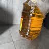 鲁花 食用油 物理压榨 葵花仁油6.18L  实拍图