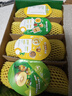 佳沛（zespri）新西兰阳光金奇异果 8个装 特大果单果重约124-146g 水果猕猴桃 实拍图