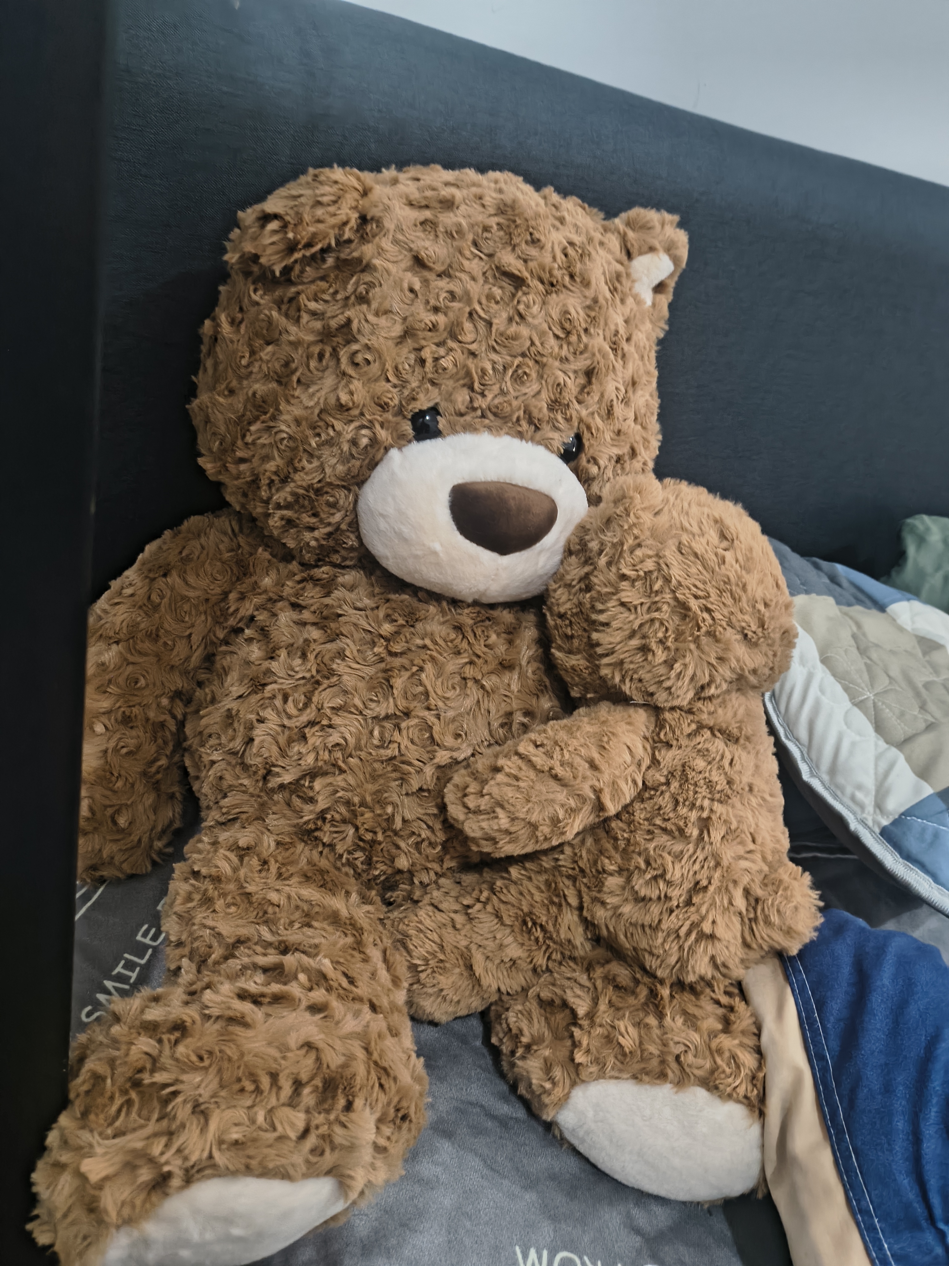 名创优品（MINISO）吉福特熊小熊大号玩偶生日礼物送男友女友陪睡抱枕高端道歉次日达 实拍图