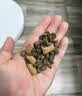 LEGENDSANDY蓝氏全价猫粮生鲜高能系列成猫幼猫 试用 试吃 猎鸟乳鸽 50g*5 实拍图