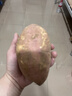 现挖沙地蜜薯红薯新鲜农家糖心番薯烤地瓜软糯批发黄心包邮 河南西瓜红蜜薯9斤中大果 净重 实拍图