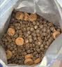 LEGENDSANDY蓝氏狗粮真鲜乳鸽中小型犬泰迪比熊生骨肉冻干鲜肉犬粮1.5kg*6包 实拍图