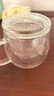 富光花茶杯 男女士茶水分离杯子 双层办公泡茶玻璃杯带把高硼硅水杯 实拍图