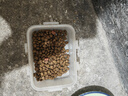 蓝枸狗粮40斤装牛肉味双拼金毛萨摩耶马犬中大型专用成犬幼犬粮 实拍图
