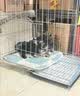 憨憨宠狗笼中小型犬狗笼子大猫笼带厕所加粗折叠宠物笼子柯基笼幼犬狗笼 加粗狗笼 银色 71*60*50cm 建议25斤内 带托盘式厕所+防卡脚垫片 实拍图