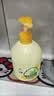 六神【艾叶抑菌】洗手液500ml*1(有效抑菌99.9% 清爽) 实拍图