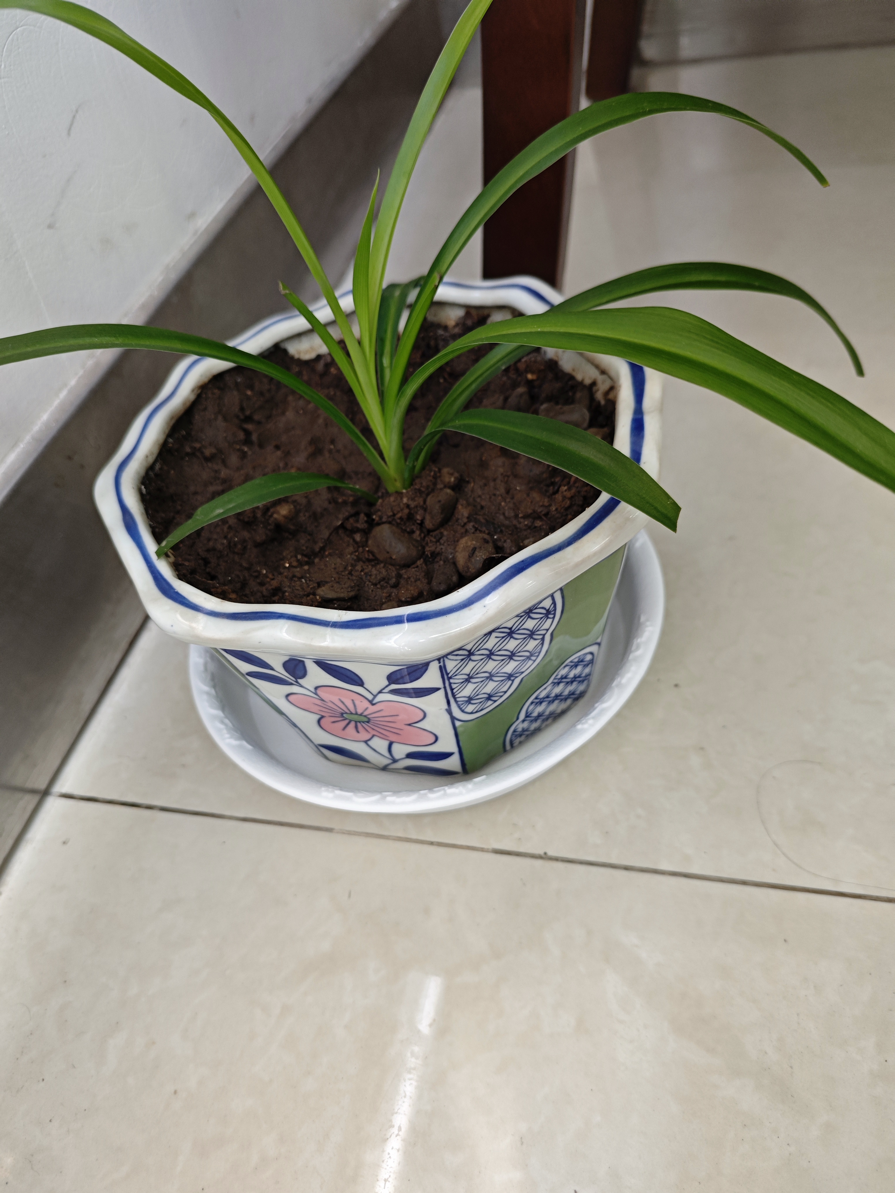 史丹利花盆托盘花托底座接水花盘底托花架花盒垫底盘 3只装 象牙白200 实拍图