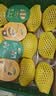 佳沛（zespri）新西兰 阳光金果25-27粒原箱特大果单果124-146g 猕猴桃水果礼盒 实拍图