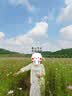 优衣库法国麻衬衫/长袖女装衬衣26春夏新款483868 42 浅黄色 L 实拍图