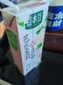 豆本豆芭乐茉莉豆奶250ml*20盒植物蛋白饮料儿童营养学生早餐奶礼盒批发 实拍图