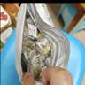 陈一凡 五黑茶桑葚黑枸杞黑豆黑米乌梅加班熬夜养生可冷热泡茶包175g 实拍图