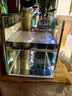 坤宁王金晶超白玻璃鱼缸桌面造景小鱼缸家用客厅裸缸一体缸30*17*20cm 实拍图