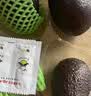 即食牛油果4粒520g 实拍图