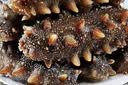 大鲜田大连有机即食海参3斤/30-48只固形物超85%辽刺参滋补礼盒源头直发 实拍图